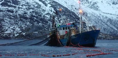 Hvordan kan vi fiske i all evighet uten å tømme havet for fisk?